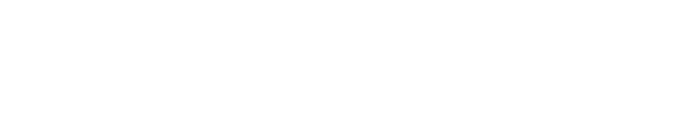 VICORE